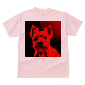 ウエストハイランドホワイトテリア Tシャツ レディース 犬ファン 半袖 春夏 犬柄 プリント カジュアル かわいい 人間用 個性派 ここだけのデザイン 面白 ウエストハイランドホワイトテリア