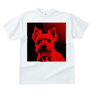 �E�G�X�g�n�C�����h�z���C�g�e���A T�V���c ���f�B�[�X ���t�@�� ���� �t�� ���� �v�����g �J�W���A�� ���킢�� �l�ԗp ���h ���������̃f�U�C�� �ʔ� �E�G�X�g�n�C�����h�z���C�g�e���A