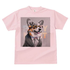 R[M[ TVc fB[X t@  t  vg JWA 킢 lԗp h ̃fUC ʔ X[c R[M[ Kl lN^C