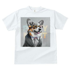 R[M[ TVc fB[X t@  t  vg JWA 킢 lԗp h ̃fUC ʔ X[c R[M[ Kl lN^C