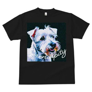 EGXgnChzCgeA TVc fB[X t@  t  vg JWA 킢 lԗp h ̃fUC ʔ EGXgnChzCgeA