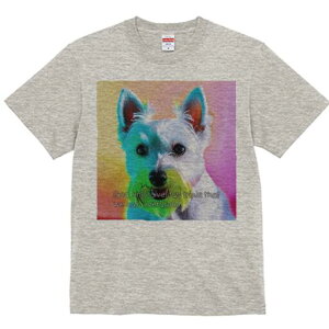 EGXgnChzCgeA TVc fB[X t@  t  vg JWA 킢 lԗp h ̃fUC ʔ EGXgnChzCgeA