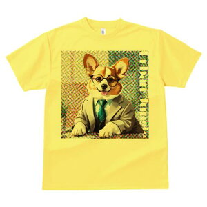 R[M[ TVc Y LbY t@  t  vg JWA 킢 lԗp h ̃fUC ʔ X[c R[M[ Kl lN^C