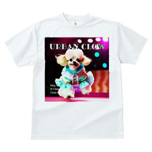 }`[Y TVc fB[X t@  t  vg JWA 킢 lԗp h ̃fUC ʔ T[JX }`[Y ߑ Xe[W Cg