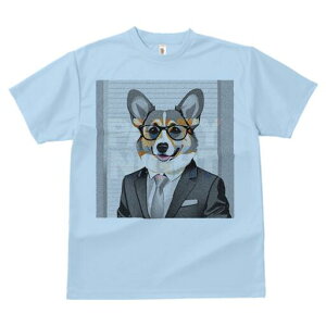 R[M[ TVc fB[X t@  t  vg JWA 킢 lԗp h ̃fUC ʔ X[c R[M[ Kl