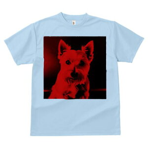 EGXgnChzCgeA TVc fB[X t@  t  vg JWA 킢 lԗp h ̃fUC ʔ EGXgnChzCgeA