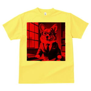 R[M[ TVc Y LbY t@  t  vg JWA 킢 lԗp h ̃fUC ʔ X[c R[M[ ዾ {I 