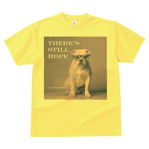 uhbO TVc fB[X t@  t  vg JWA 킢 lԗp h ̃fUC ʔ Kl uhbO