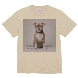 AJsbgueA TVc Y LbY t@  t  vg JWA 킢 lԗp h ̃fUC ʔ Kl AJsbgueA 