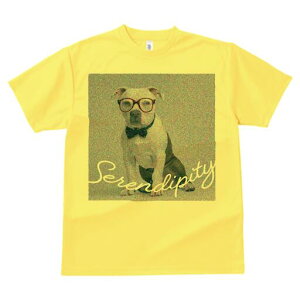 AJsbgueA TVc Y LbY t@  t  vg JWA 킢 lԗp h ̃fUC ʔ Kl AJsbgueA 