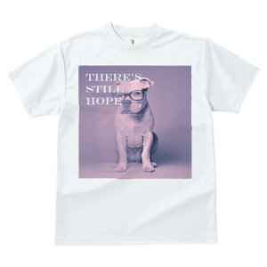 sbgu TVc Y LbY t@  t  vg JWA 킢 lԗp h ̃fUC ʔ Kl sbgu