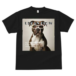 {NT[ TVc Y LbY t@  t  vg JWA 킢 lԗp h ̃fUC ʔ Kl {NT[ A[o N[