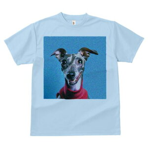 C^AO[nEh TVc fB[X t@  t  vg JWA 킢 lԗp h ̃fUC ʔ Z[^[ C^AO[nEh