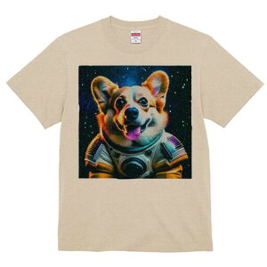 R[M[ TVc fB[X t@  t  vg JWA 킢 lԗp h ̃fUC ʔ F R[M[ F