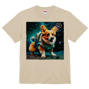 R[M[ TVc fB[X t@  t  vg JWA 킢 lԗp h ̃fUC ʔ F R[M[ F