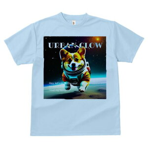 R[M[ TVc fB[X t@  t  vg JWA 킢 lԗp h ̃fUC ʔ Fsm R[M[ F Xy[X