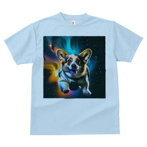 R[M[ TVc fB[X t@  t  vg JWA 킢 lԗp h ̃fUC ʔ F R[M[ Xy[X F _