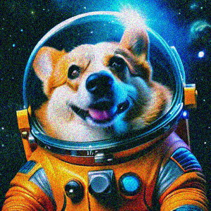 F R[M[ F NbVJo[ 45×45cm Aj}   NbV{̕t ` t@