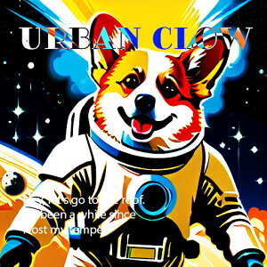 F R[M[ F NbVJo[ 45×45cm Aj}   NbV{̕t ` t@