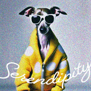 TOX C^AO[nEh p[J[ NbVJo[ 45×45cm Aj}   NbV{̕t ` t@