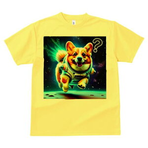 R[M[ TVc fB[X t@  t  vg JWA 킢 lԗp h ̃fUC ʔ F R[M[ F 