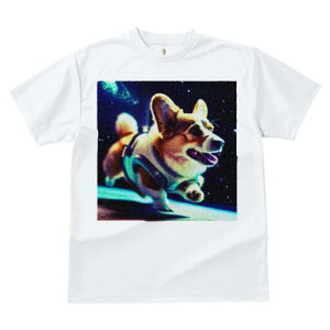 R[M[ TVc fB[X t@  t  vg JWA 킢 lԗp h ̃fUC ʔ F R[M[ Xy[X 