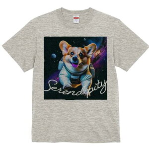 R[M[ TVc fB[X t@  t  vg JWA 킢 lԗp h ̃fUC ʔ F R[M[ F