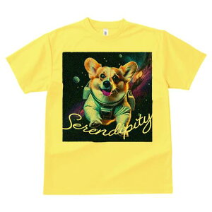 R[M[ TVc fB[X t@  t  vg JWA 킢 lԗp h ̃fUC ʔ F R[M[ F