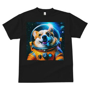 R[M[ TVc fB[X t@  t  vg JWA 킢 lԗp h ̃fUC ʔ F R[M[ F