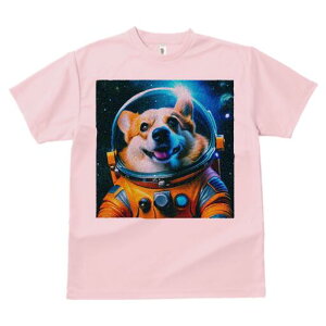 R[M[ TVc fB[X t@  t  vg JWA 킢 lԗp h ̃fUC ʔ F R[M[ F