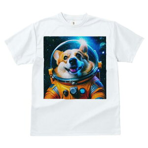 R[M[ TVc fB[X t@  t  vg JWA 킢 lԗp h ̃fUC ʔ F R[M[ F