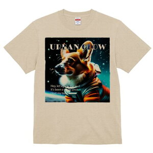 R[M[ TVc fB[X t@  t  vg JWA 킢 lԗp h ̃fUC ʔ Fsm R[M[ F