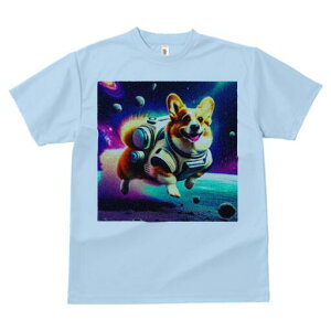 R[M[ TVc fB[X t@  t  vg JWA 킢 lԗp h ̃fUC ʔ F R[M[ Xy[X f F