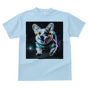 R[M[ TVc fB[X t@  t  vg JWA 킢 lԗp h ̃fUC ʔ F R[M[ F