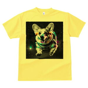 R[M[ TVc fB[X t@  t  vg JWA 킢 lԗp h ̃fUC ʔ F R[M[ F