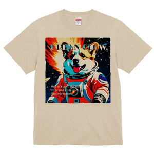 R[M[ TVc fB[X t@  t  vg JWA 킢 lԗp h ̃fUC ʔ F R[M[ Fsm Xy[X N[ 킢