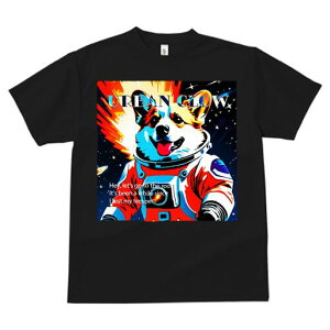 R[M[ TVc fB[X t@  t  vg JWA 킢 lԗp h ̃fUC ʔ F R[M[ Fsm Xy[X N[ 킢