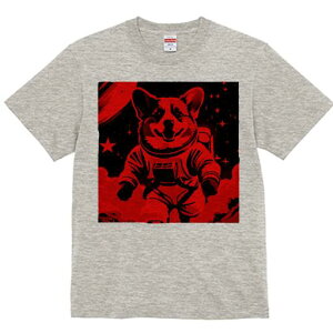 R[M[ TVc fB[X t@  t  vg JWA 킢 lԗp h ̃fUC ʔ F R[M[ F  Xy[X