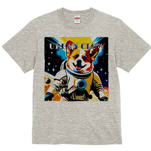 R[M[ TVc fB[X t@  t  vg JWA 킢 lԗp h ̃fUC ʔ F R[M[ F