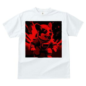 R[M[ TVc fB[X t@  t  vg JWA 킢 lԗp h ̃fUC ʔ F R[M[ F Xy[X