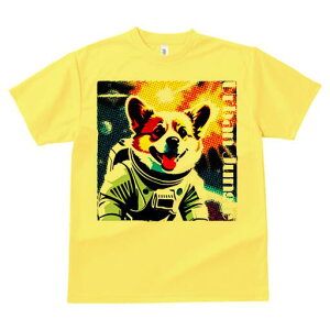 R[M[ TVc fB[X t@  t  vg JWA 킢 lԗp h ̃fUC ʔ F R[M[ Xy[X