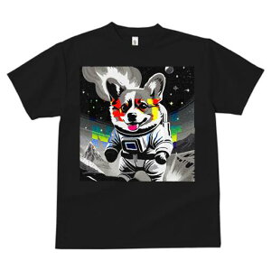 R[M[ TVc fB[X t@  t  vg JWA 킢 lԗp h ̃fUC ʔ F R[M[ F 