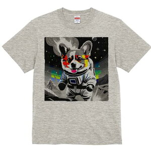 R[M[ TVc fB[X t@  t  vg JWA 킢 lԗp h ̃fUC ʔ F R[M[ F 