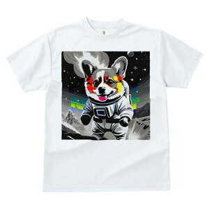 R[M[ TVc fB[X t@  t  vg JWA 킢 lԗp h ̃fUC ʔ F R[M[ F 