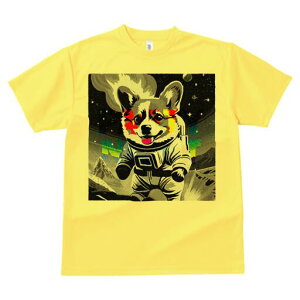 �R�[�M�[ T�V���c ���f�B�[�X ���t�@�� ���� �t�� ���� �v�����g �J�W���A�� ���킢�� �l�ԗp ���h ���������̃f�U�C�� �ʔ� �F�� �R�[�M�[ �F���� ����