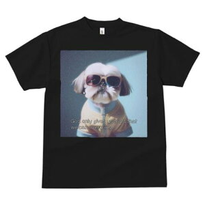 V[Y[ TVc fB[X t@  t  vg JWA 킢 lԗp h ̃fUC ʔ TOX V[Y[ 