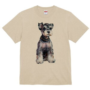 ~j`AViEU[ TVc fB[X t@  t  vg JWA 킢 lԗp h ̃fUC ʔ  ~j`AViEU[