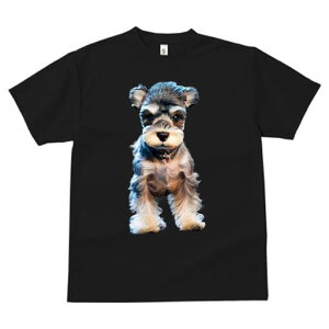 ~j`AViEU[ TVc fB[X t@  t  vg JWA 킢 lԗp h ̃fUC ʔ ybg ~j`AViEU[ 킢 D