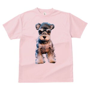 ~j`AViEU[ TVc fB[X t@  t  vg JWA 킢 lԗp h ̃fUC ʔ ybg ~j`AViEU[ 킢 D