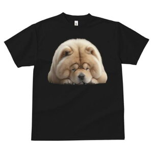 `E`E TVc fB[X t@  t  vg JWA 킢 lԗp h ̃fUC ʔ ӂӂ `E`E 킢  ʂ